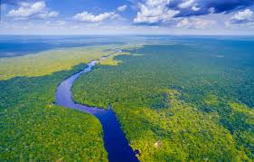 amazonas