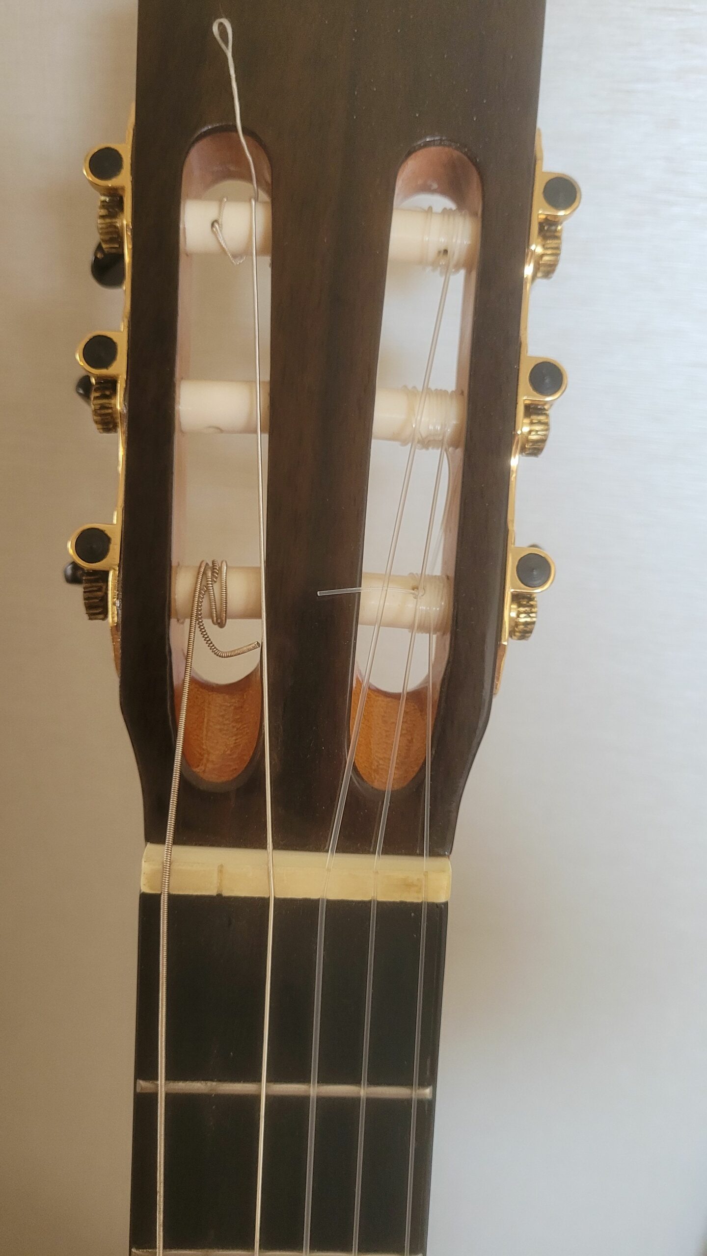 מיתרים מתוחים