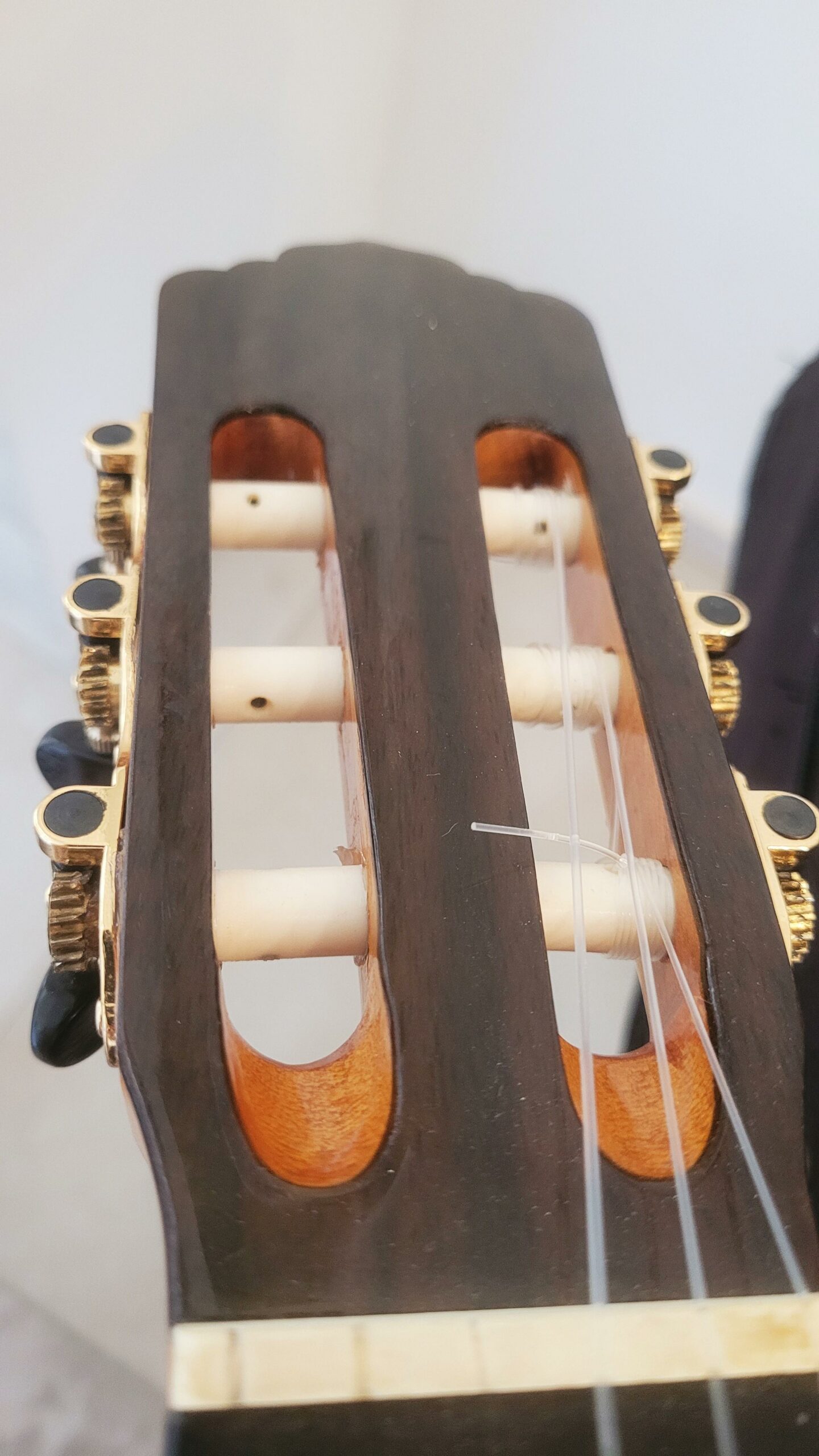 צירים מגורזים