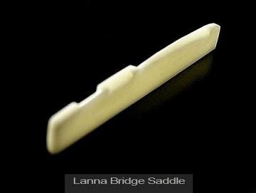 bridge bone