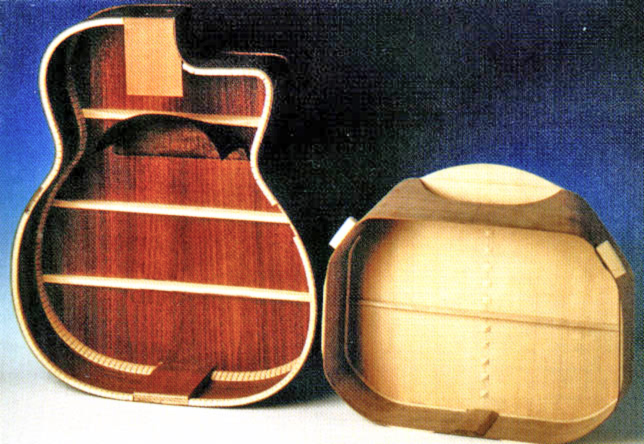 selmer.internal.resonator