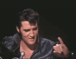 elvis