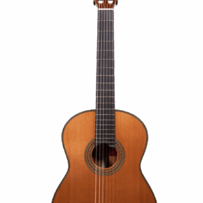 Classical Guitar MCG-10