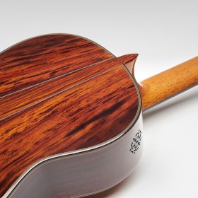 פרנסיסקו אסטבה - Francisco Esteve