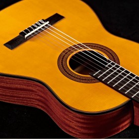 גיטרה להשכרה