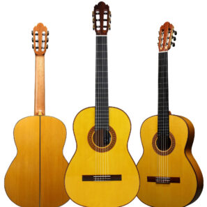 גיטרה פלמנקו W.J. Flamenca Negra