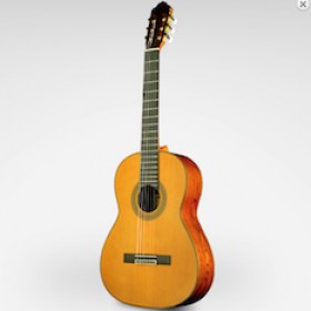 גיטרה קלאסית Esteve 7C/B