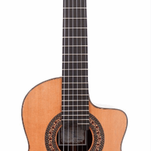P. Saez - PS2001 requinto