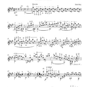 דלית רייך - אורות על הים / Luces del Mar - PDF