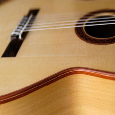 גולפיאדור \ Pickguard