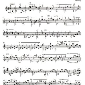 הרבה מה לומר - Molto da dire - PDF / דלית רייך