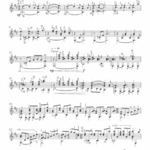 דלית רייך - בדהירה Galopando (PDF)